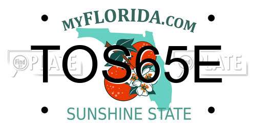 TOS65E Florida License Plate