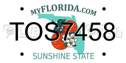 TOS7458 Florida License Plate