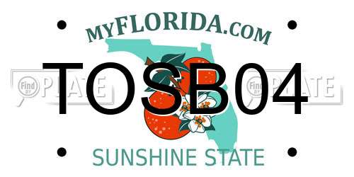 TOSB04 Florida License Plate
