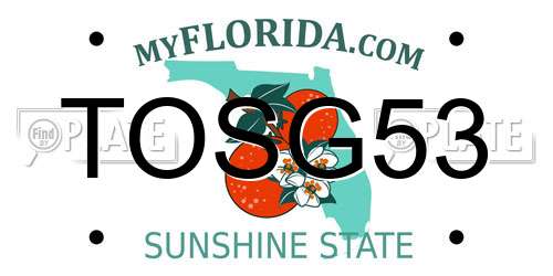 TOSG53 Florida License Plate