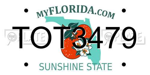 TOT3479 Florida License Plate