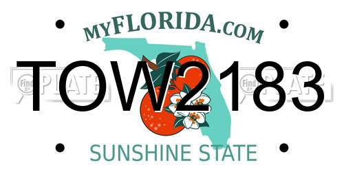 TOW2183 Florida License Plate