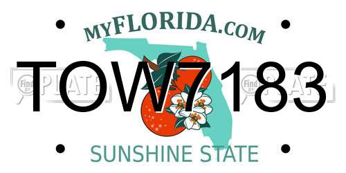 TOW7183 Florida License Plate