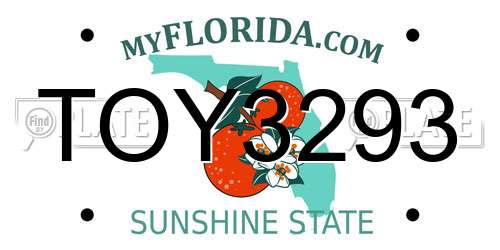 TOY3293 Florida License Plate