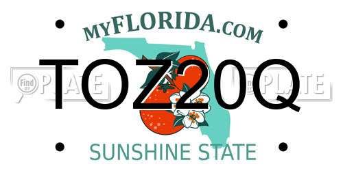 TOZ20Q Florida License Plate