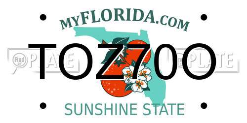 TOZ70O Florida License Plate