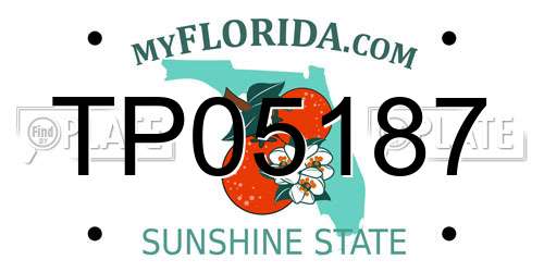 TP05187 Florida License Plate