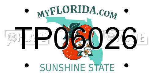 TP06026 Florida License Plate