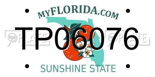 TP06076 Florida License Plate