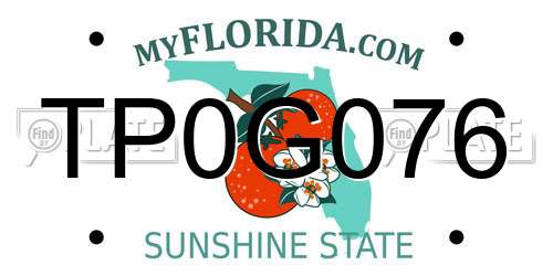 TP0G076 Florida License Plate