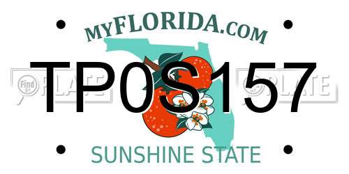 TP0S157 Florida License Plate
