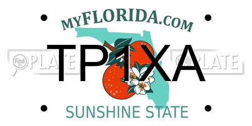 TP1XA Florida License Plate