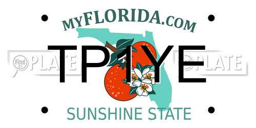 TP1YE Florida License Plate