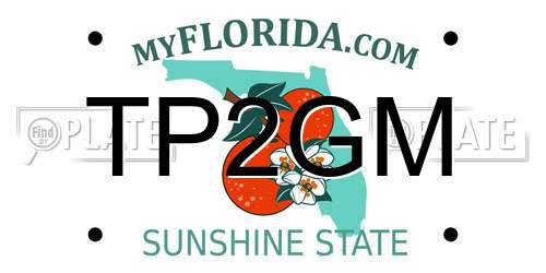 TP2GM Florida License Plate