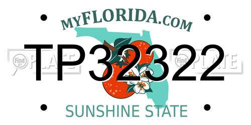 TP32322 Florida License Plate