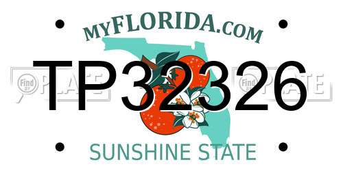 TP32326 Florida License Plate