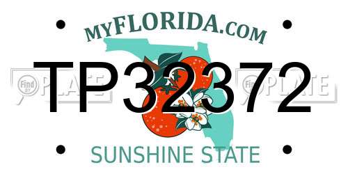 TP32372 Florida License Plate