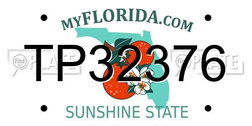 TP32376 Florida License Plate