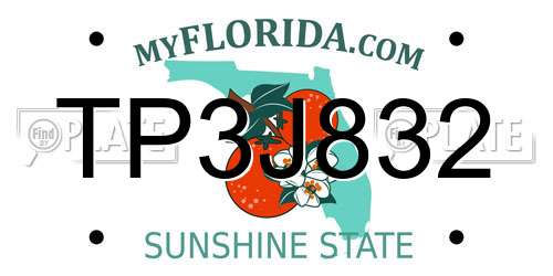 TP3J832 Florida License Plate