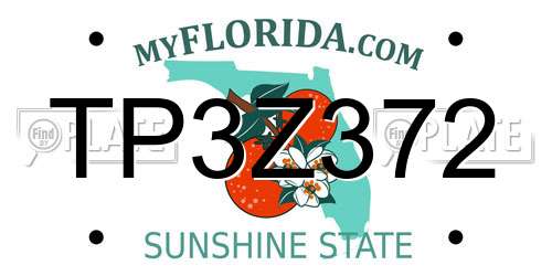 TP3Z372 Florida License Plate
