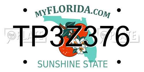 TP3Z376 Florida License Plate