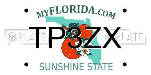 TP3ZX Florida License Plate