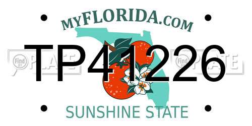 TP41226 Florida License Plate