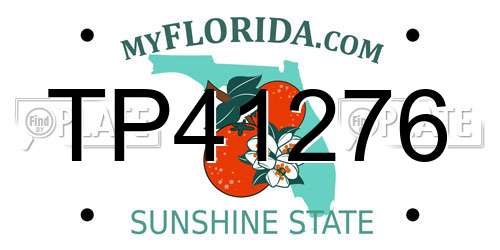 TP41276 Florida License Plate