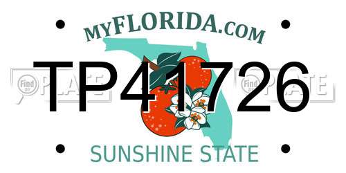 TP41726 Florida License Plate