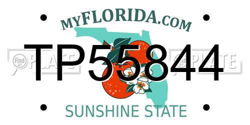 TP55844 Florida License Plate