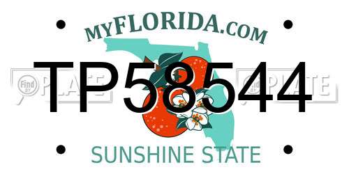 TP58544 Florida License Plate