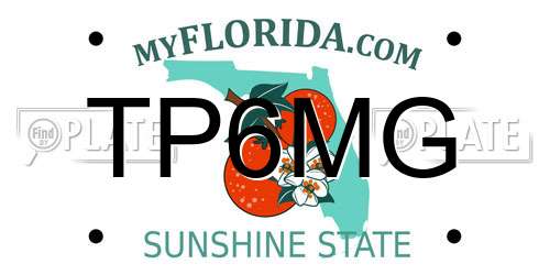 TP6MG Florida License Plate