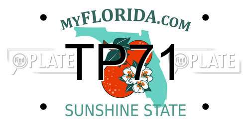 TP71 Florida License Plate
