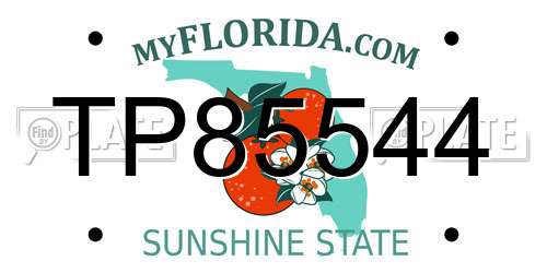 TP85544 Florida License Plate