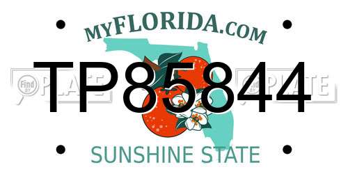TP85844 Florida License Plate