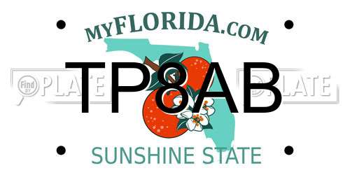 TP8AB Florida License Plate