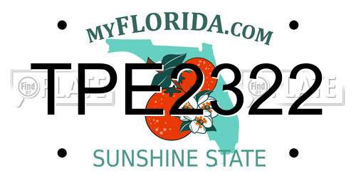 TPE2322 Florida License Plate