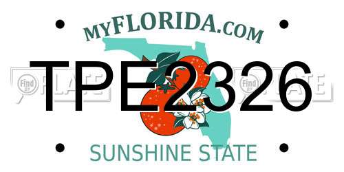 TPE2326 Florida License Plate