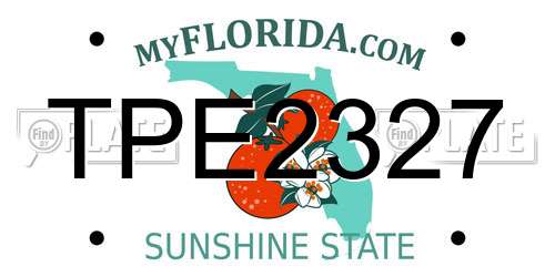 TPE2327 Florida License Plate