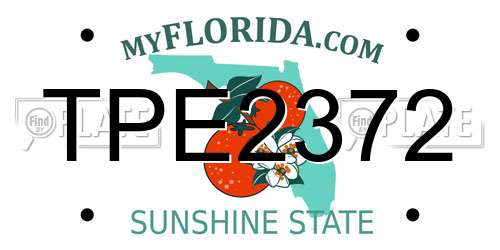 TPE2372 Florida License Plate