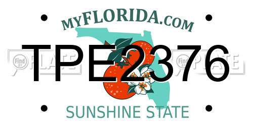 TPE2376 Florida License Plate