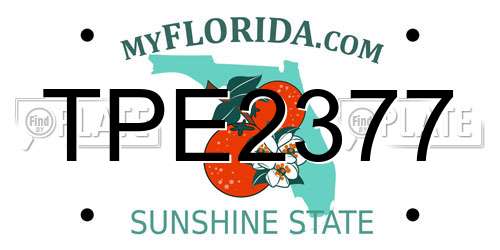 TPE2377 Florida License Plate