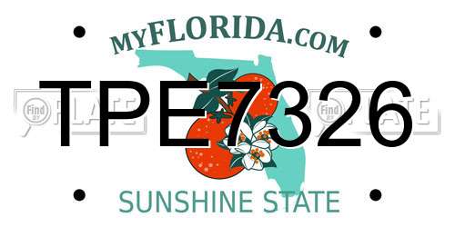 TPE7326 Florida License Plate