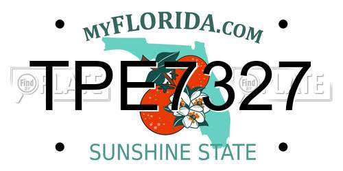 TPE7327 Florida License Plate