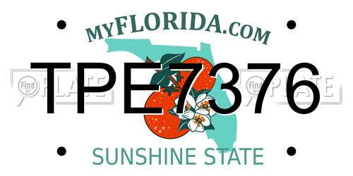 TPE7376 Florida License Plate