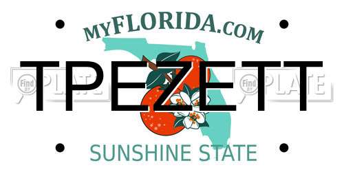 TPEZETT Florida License Plate