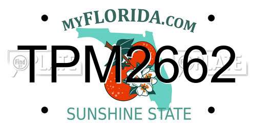 TPM2662 Florida License Plate