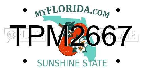 TPM2667 Florida License Plate