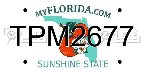 TPM2677 Florida License Plate
