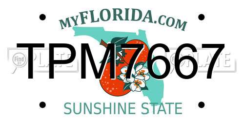 TPM7667 Florida License Plate